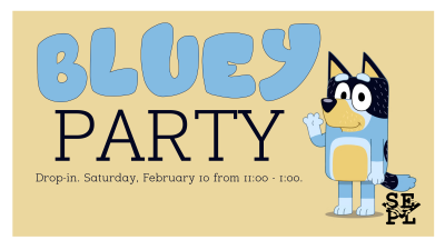 Bluey Party