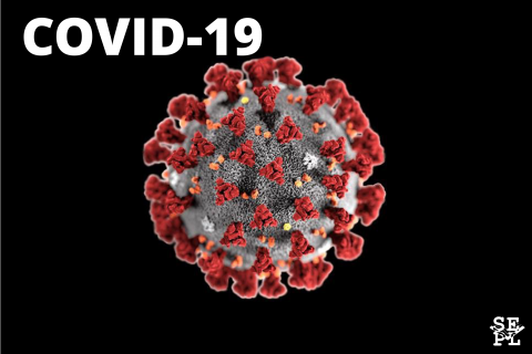 Covid-19 virus