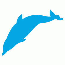 Dolphin Die Cut